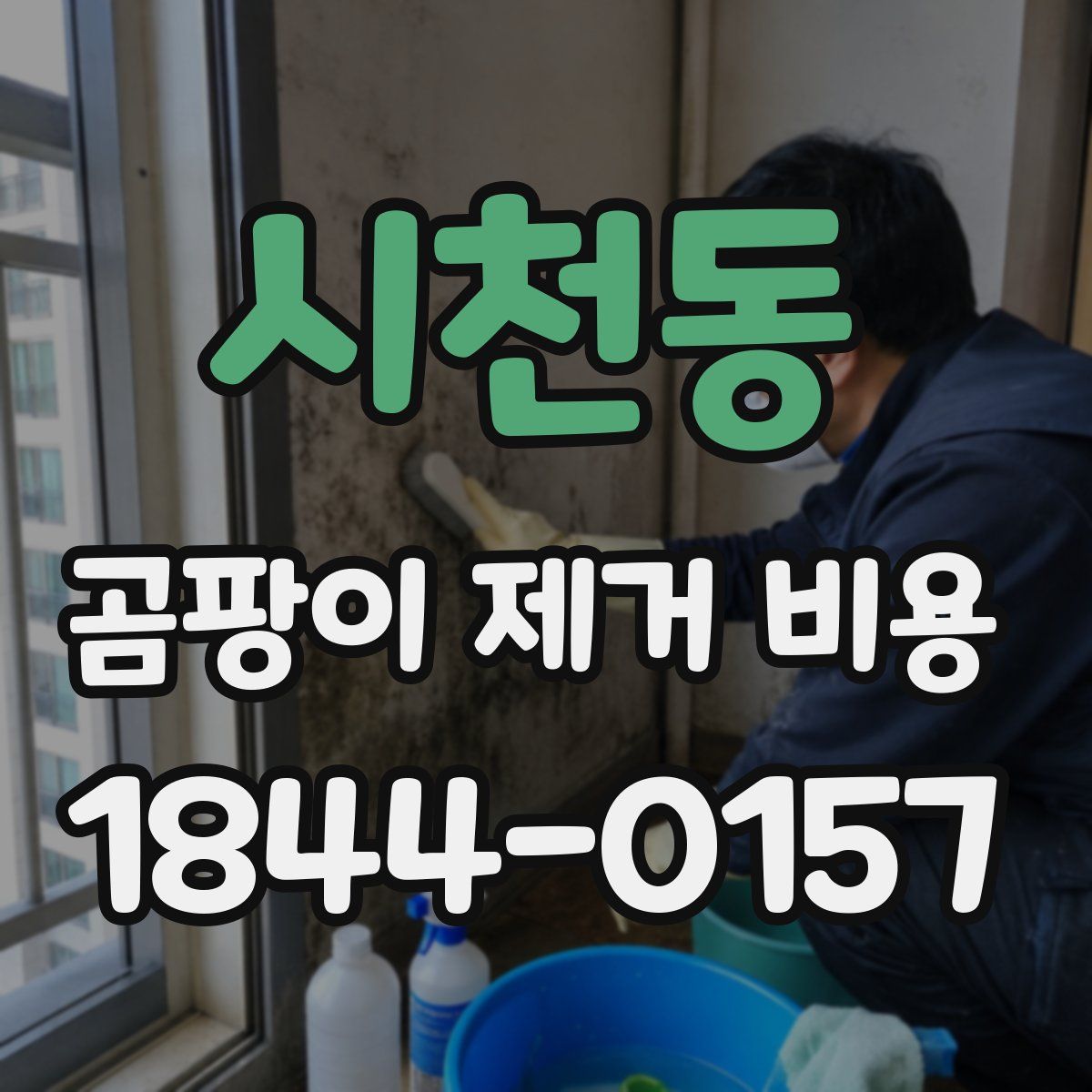 시천동 곰팡이 제거 비용