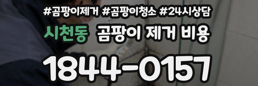 시천동 곰팡이 제거 비용