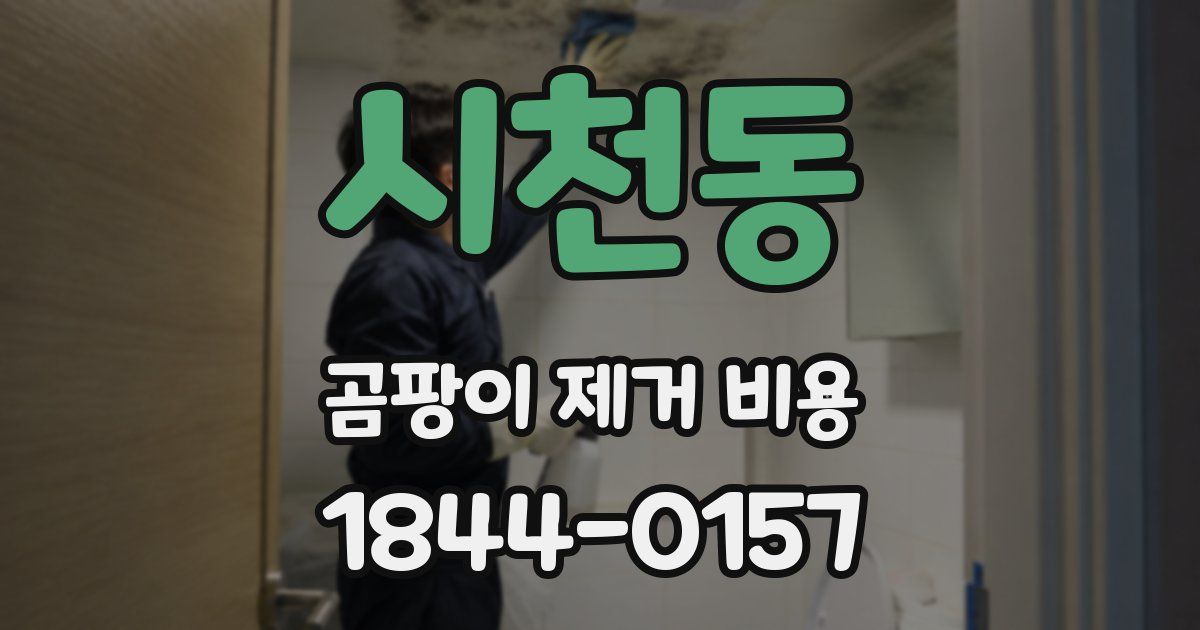시천동 곰팡이 제거 비용