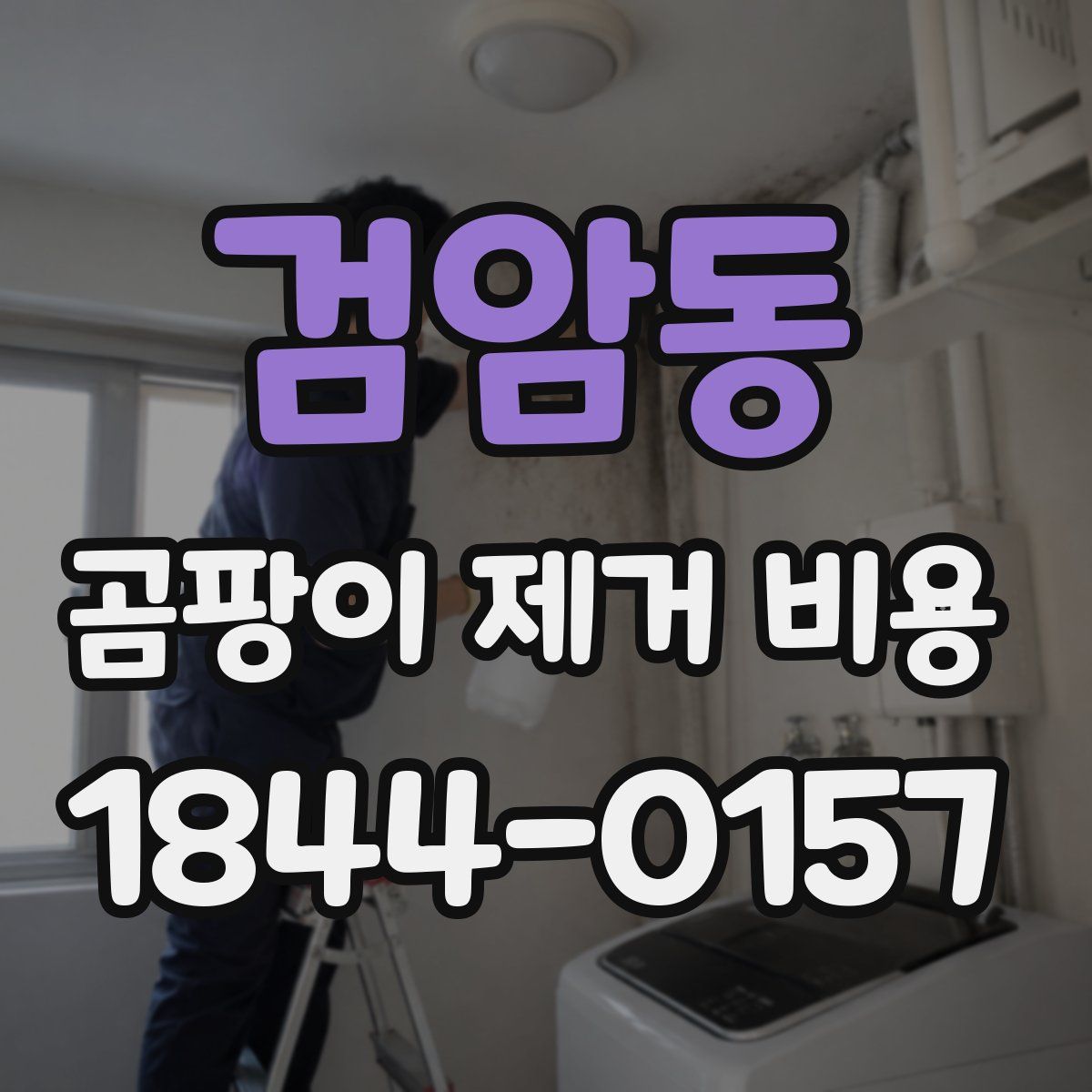 검암동 곰팡이 제거 비용
