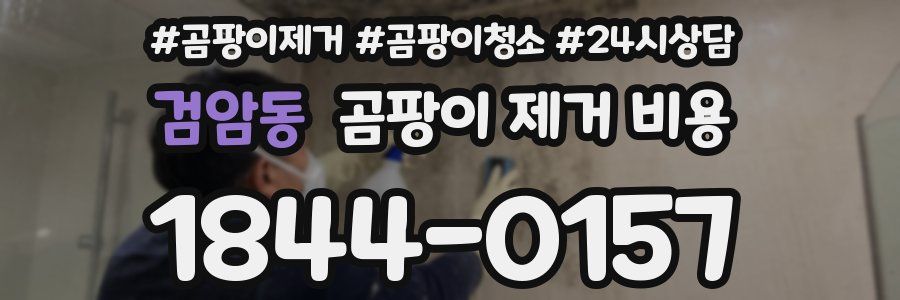 검암동 곰팡이 제거 비용