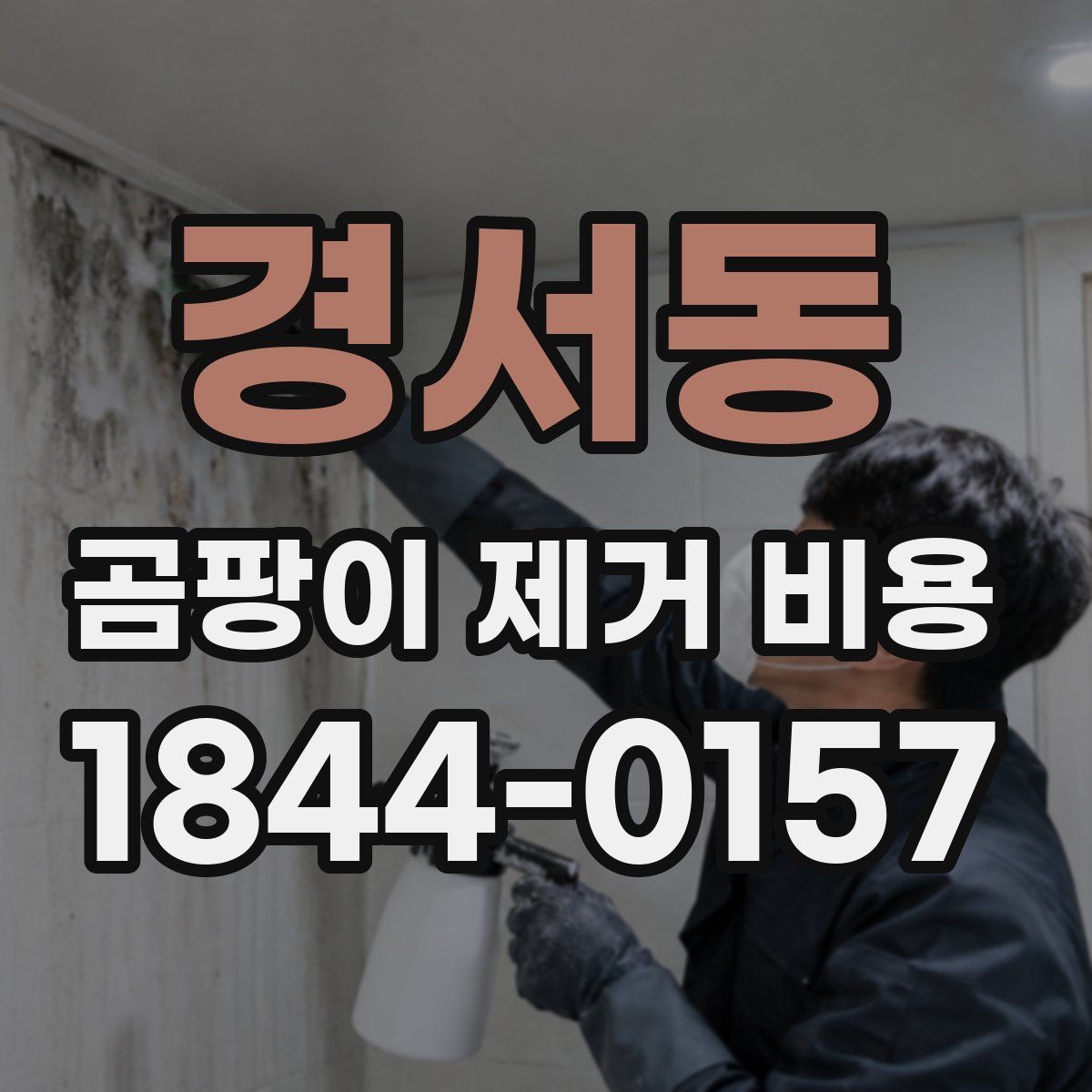 경서동 곰팡이 제거 비용
