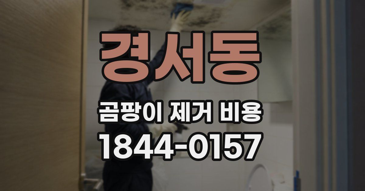 경서동 곰팡이 제거 비용