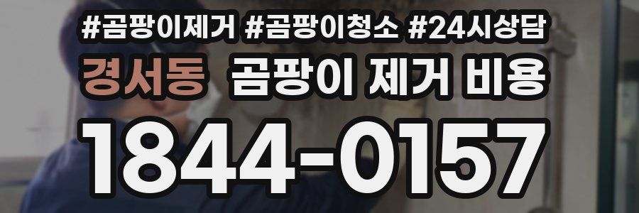 경서동 곰팡이 제거 비용