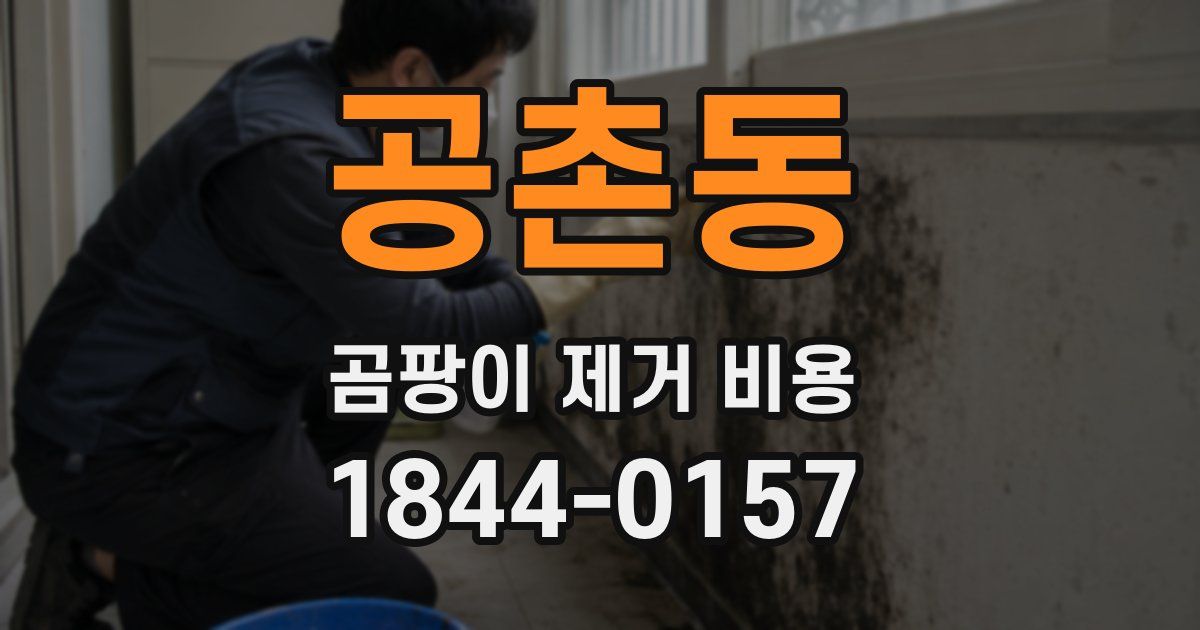 공촌동 곰팡이 제거 비용