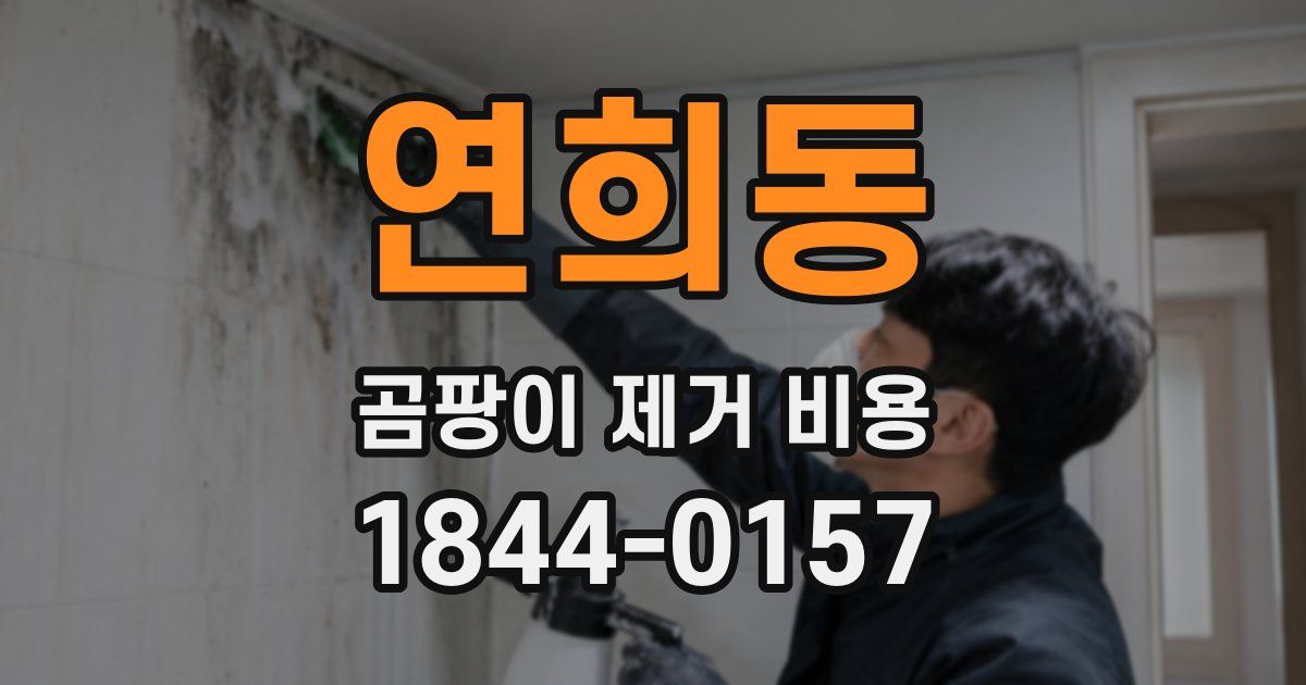 연희동 곰팡이 제거 비용