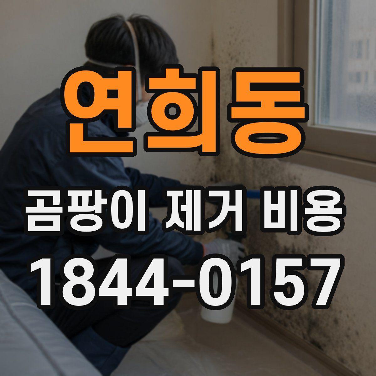 연희동 곰팡이 제거 비용