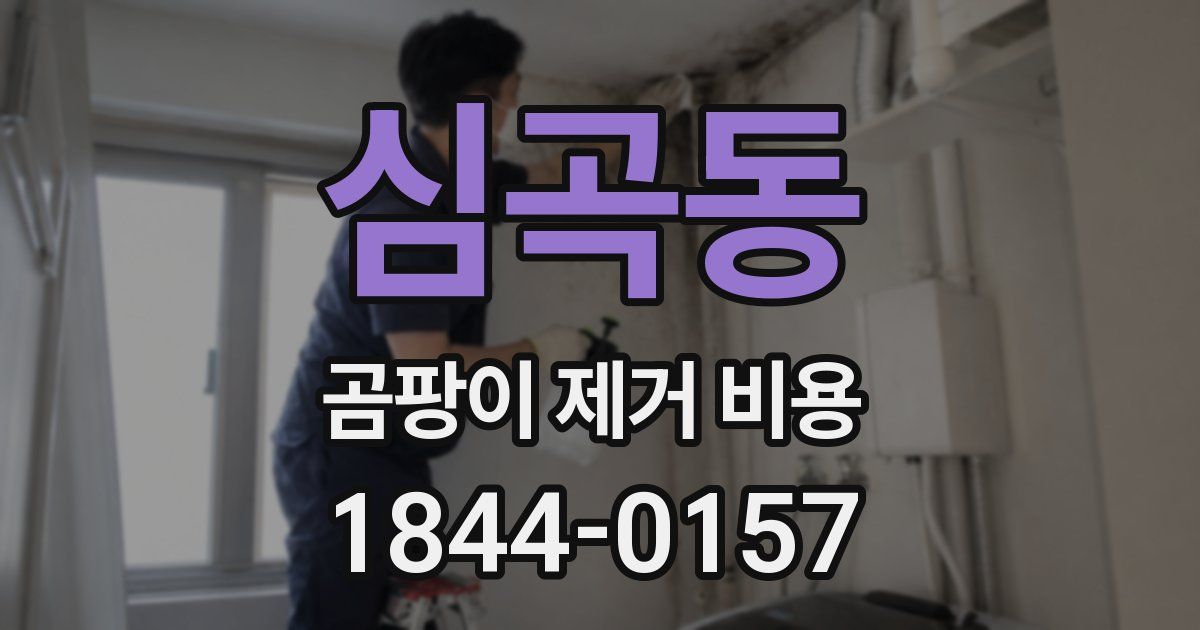 심곡동 곰팡이 제거 비용
