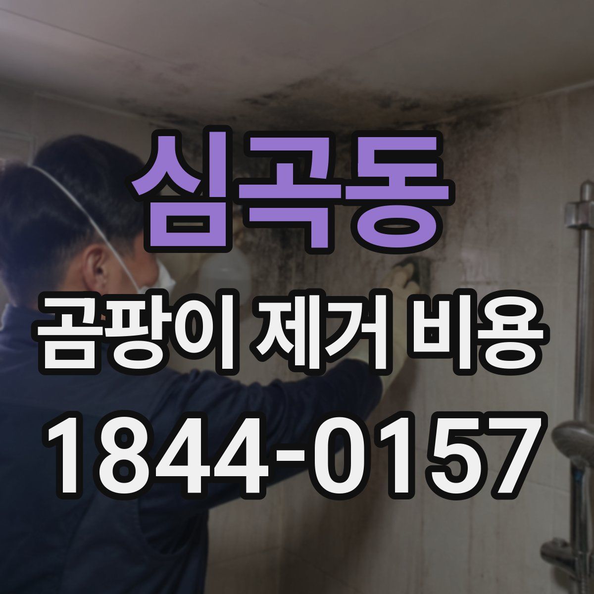 심곡동 곰팡이 제거 비용