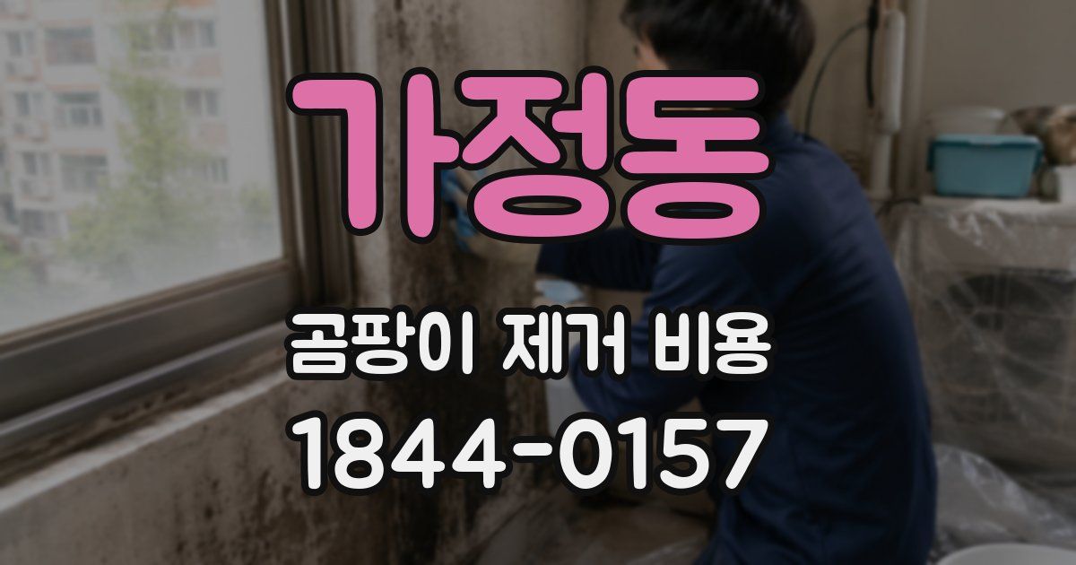 가정동 곰팡이 제거 비용