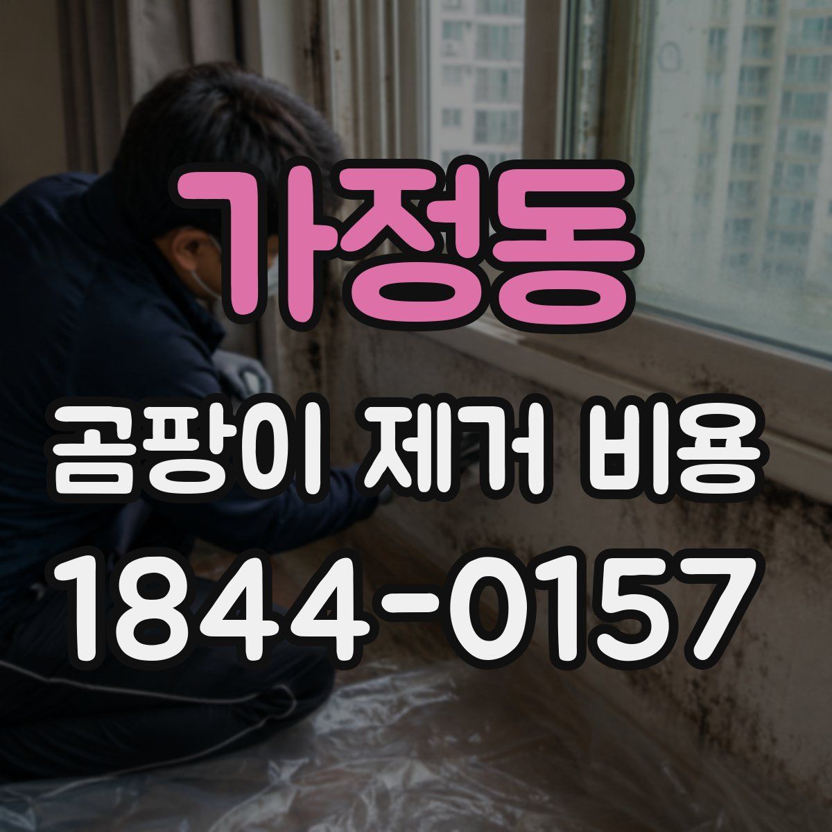 가정동 곰팡이 제거 비용