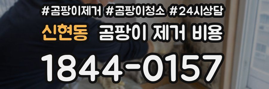 신현동 곰팡이 제거 비용