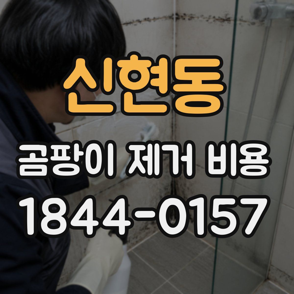 신현동 곰팡이 제거 비용
