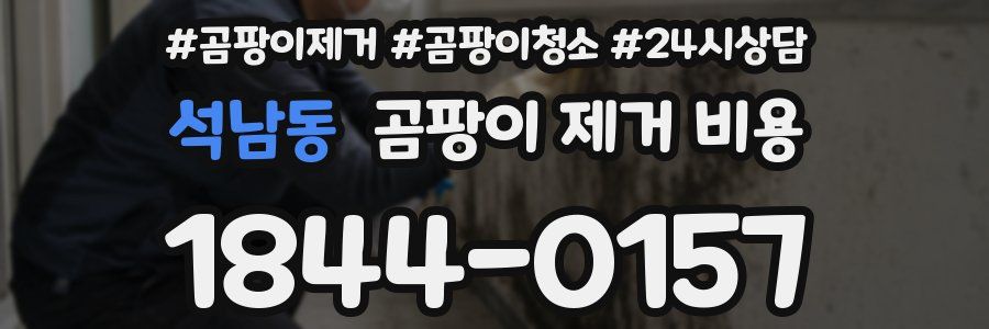 석남동 곰팡이 제거 비용