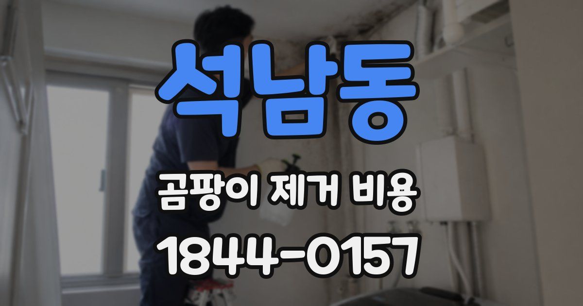 석남동 곰팡이 제거 비용