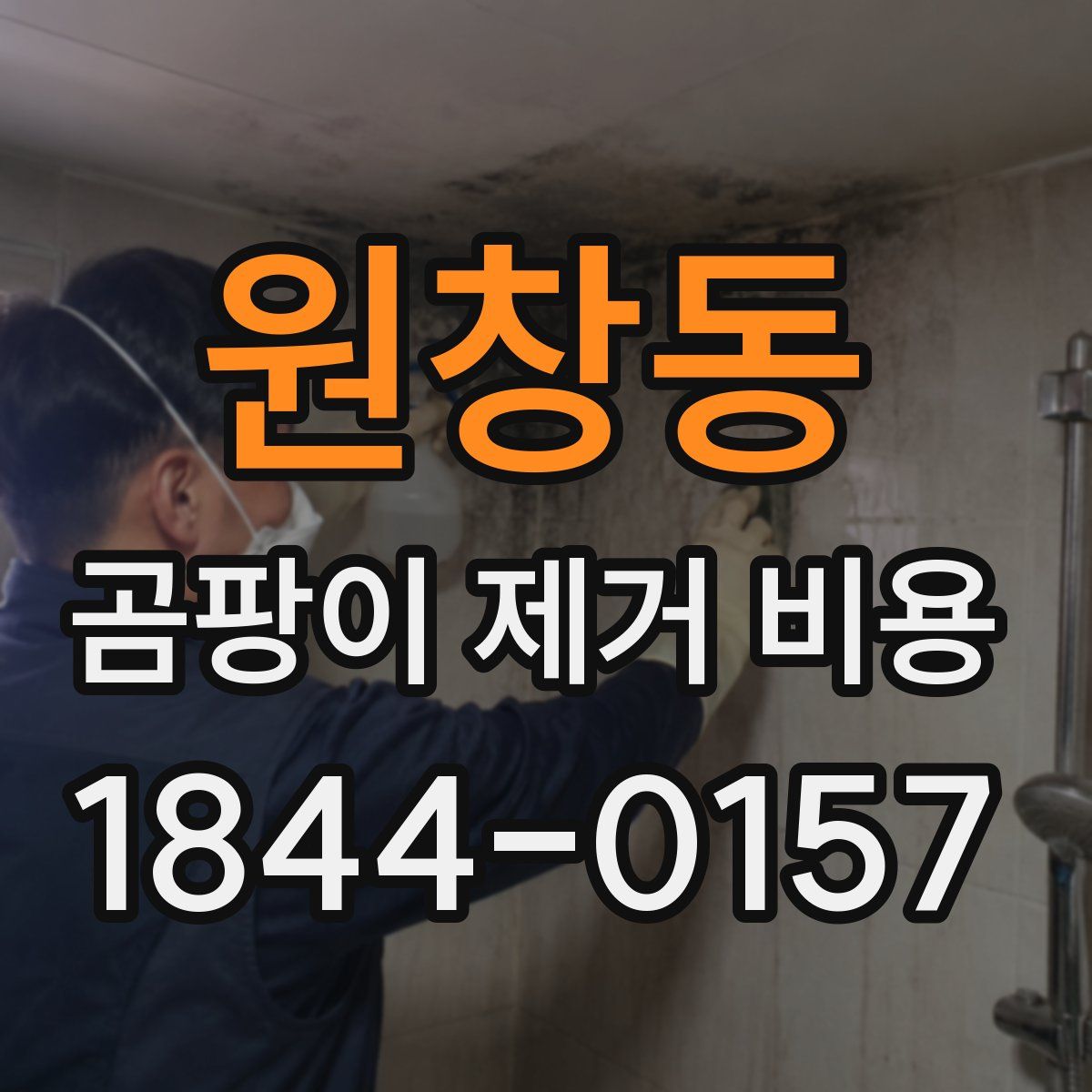 원창동 곰팡이 제거 비용