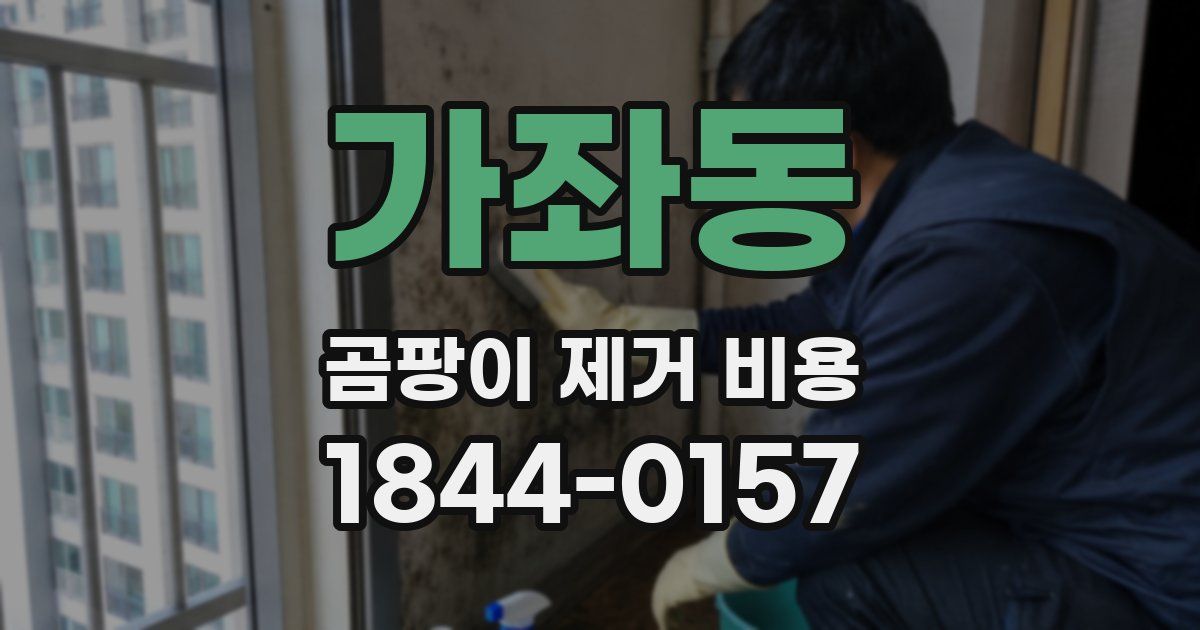 가좌동 곰팡이 제거 비용