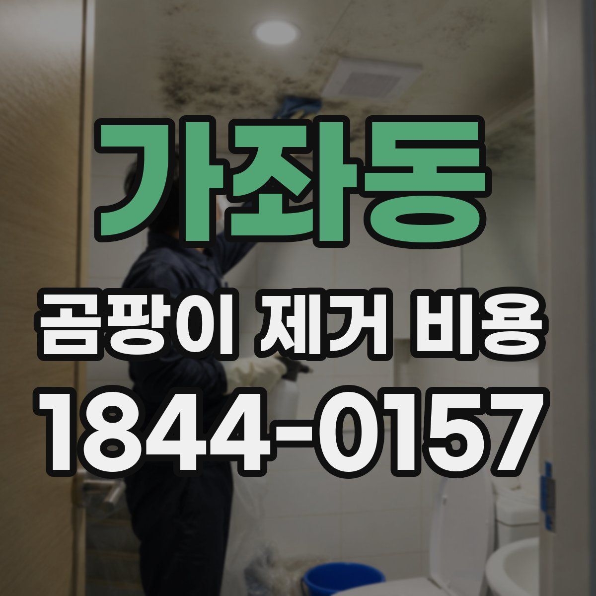 가좌동 곰팡이 제거 비용