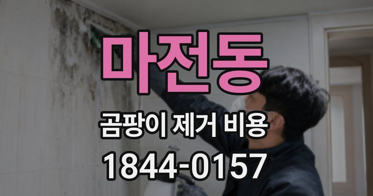 마전동 곰팡이 제거 비용