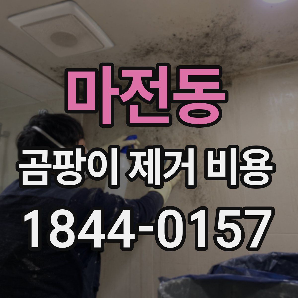 마전동 곰팡이 제거 비용