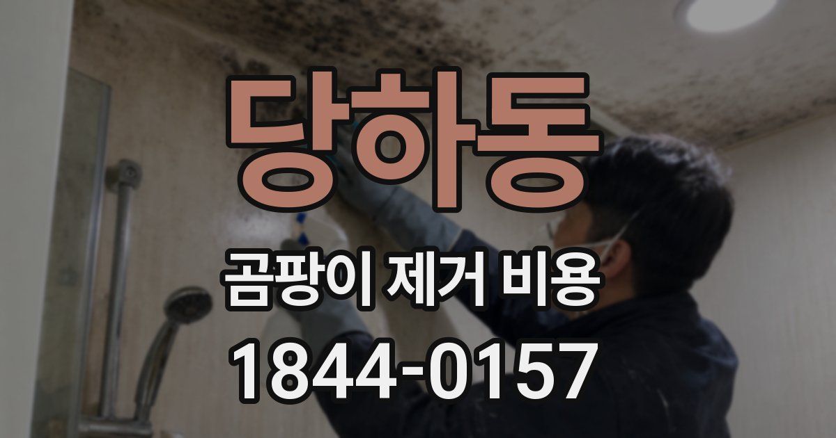 당하동 곰팡이 제거 비용