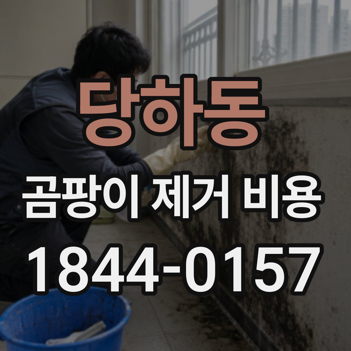 당하동 곰팡이 제거 비용