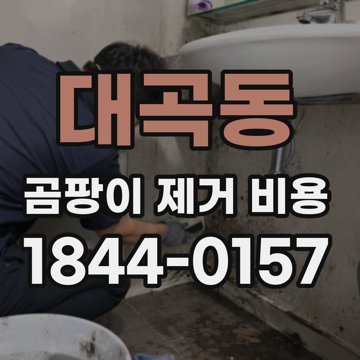 대곡동 곰팡이 제거 비용