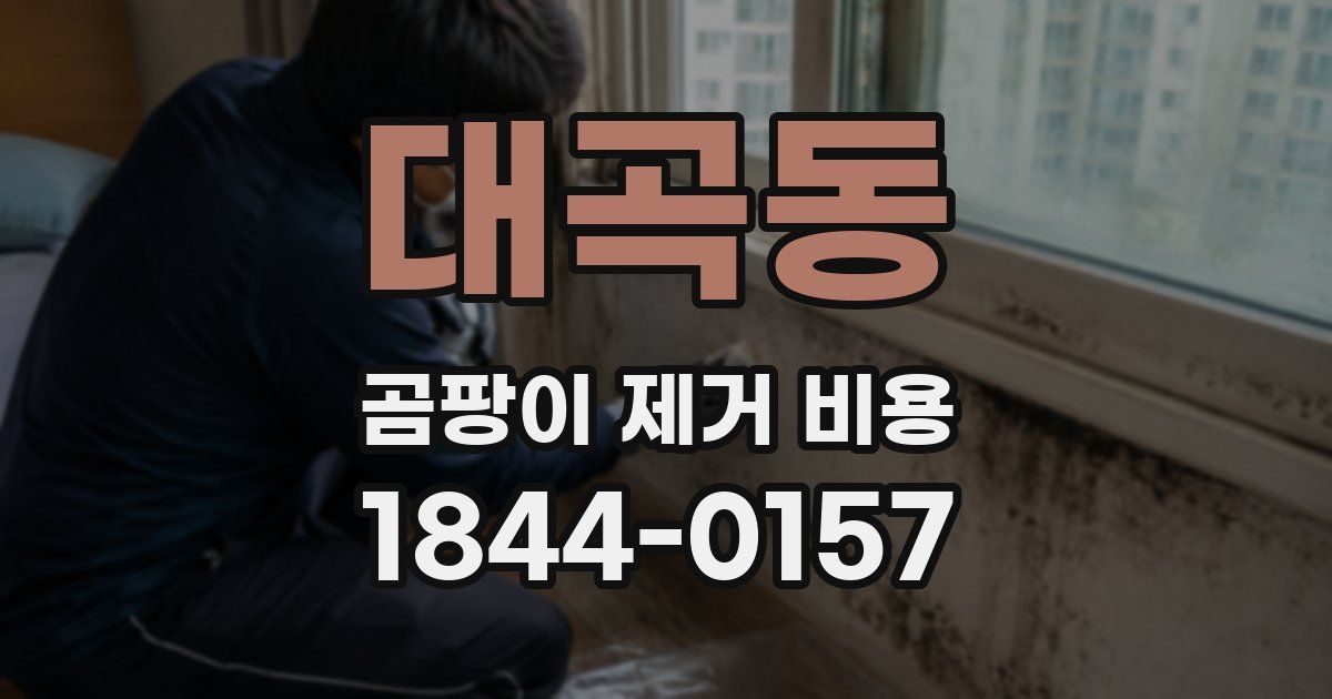 대곡동 곰팡이 제거 비용