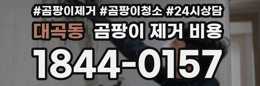 대곡동 곰팡이 제거 비용