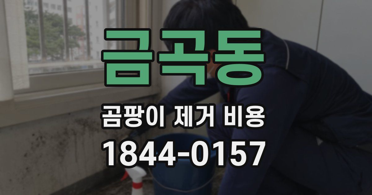 금곡동 곰팡이 제거 비용