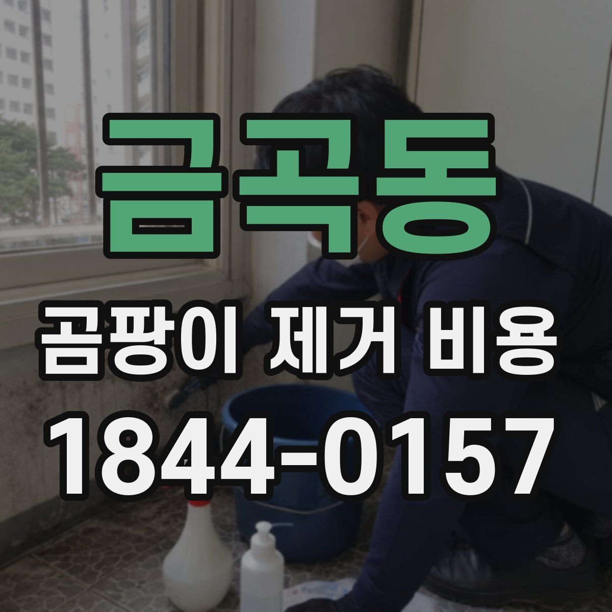 금곡동 곰팡이 제거 비용