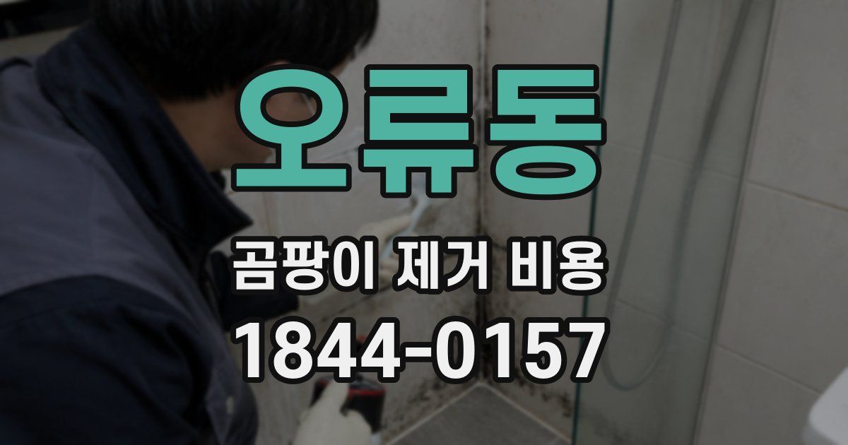 오류동 곰팡이 제거 비용
