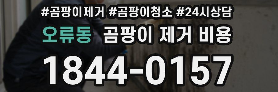오류동 곰팡이 제거 비용