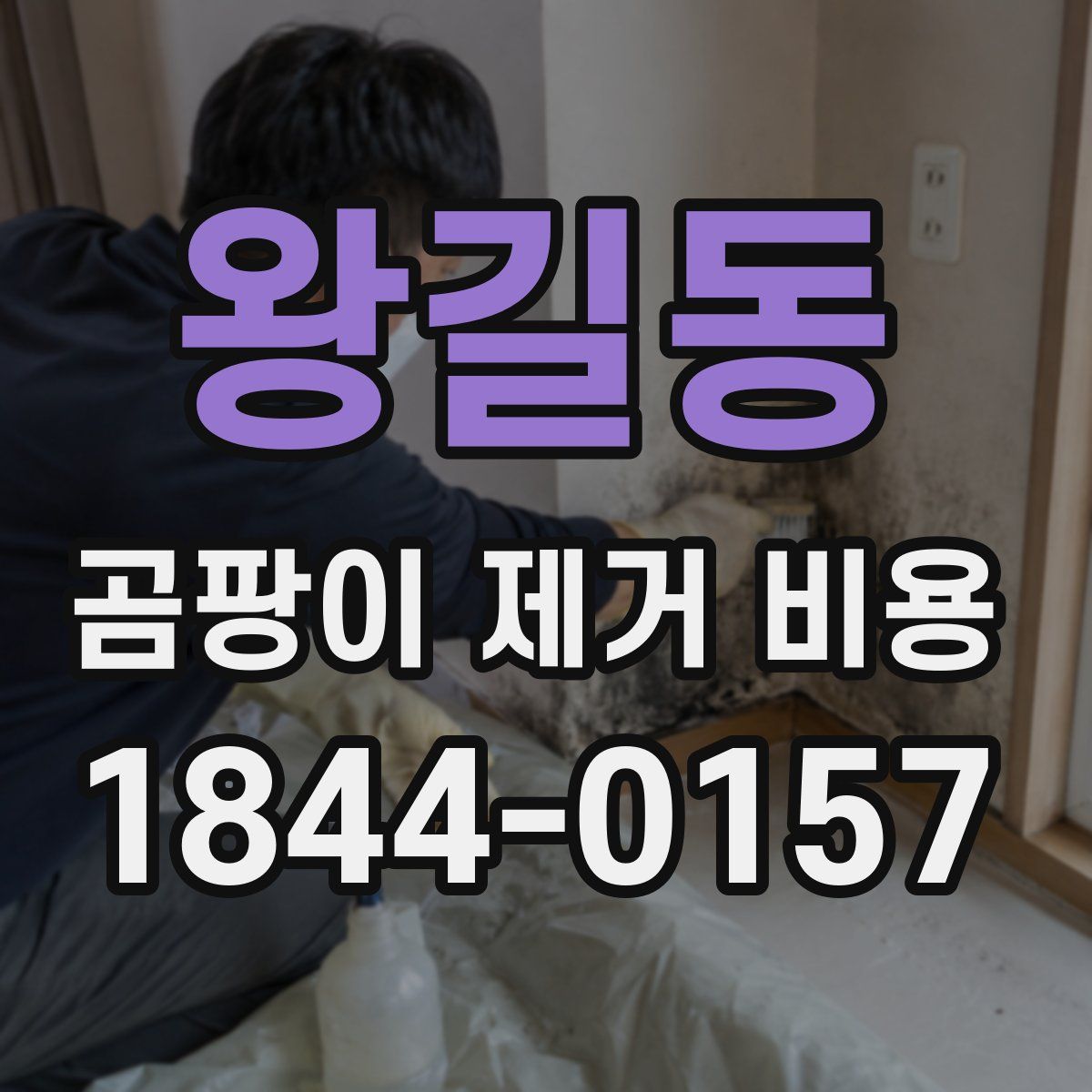 왕길동 곰팡이 제거 비용