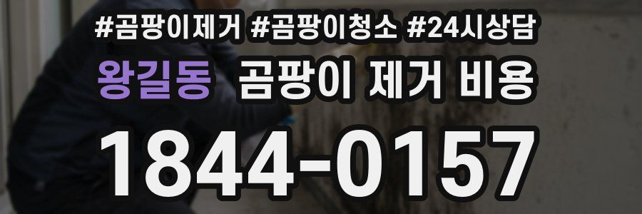 왕길동 곰팡이 제거 비용