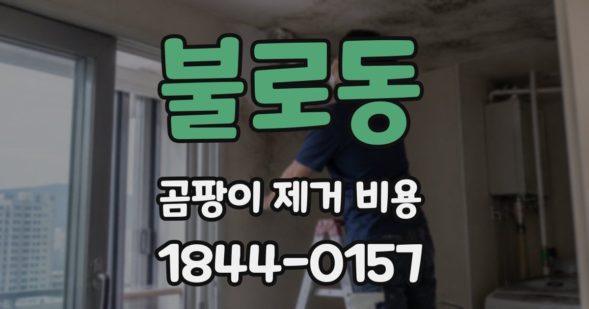 불로동 곰팡이 제거 비용