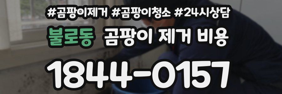 불로동 곰팡이 제거 비용