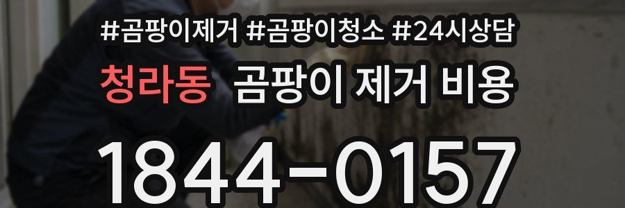 청라동 곰팡이 제거 비용
