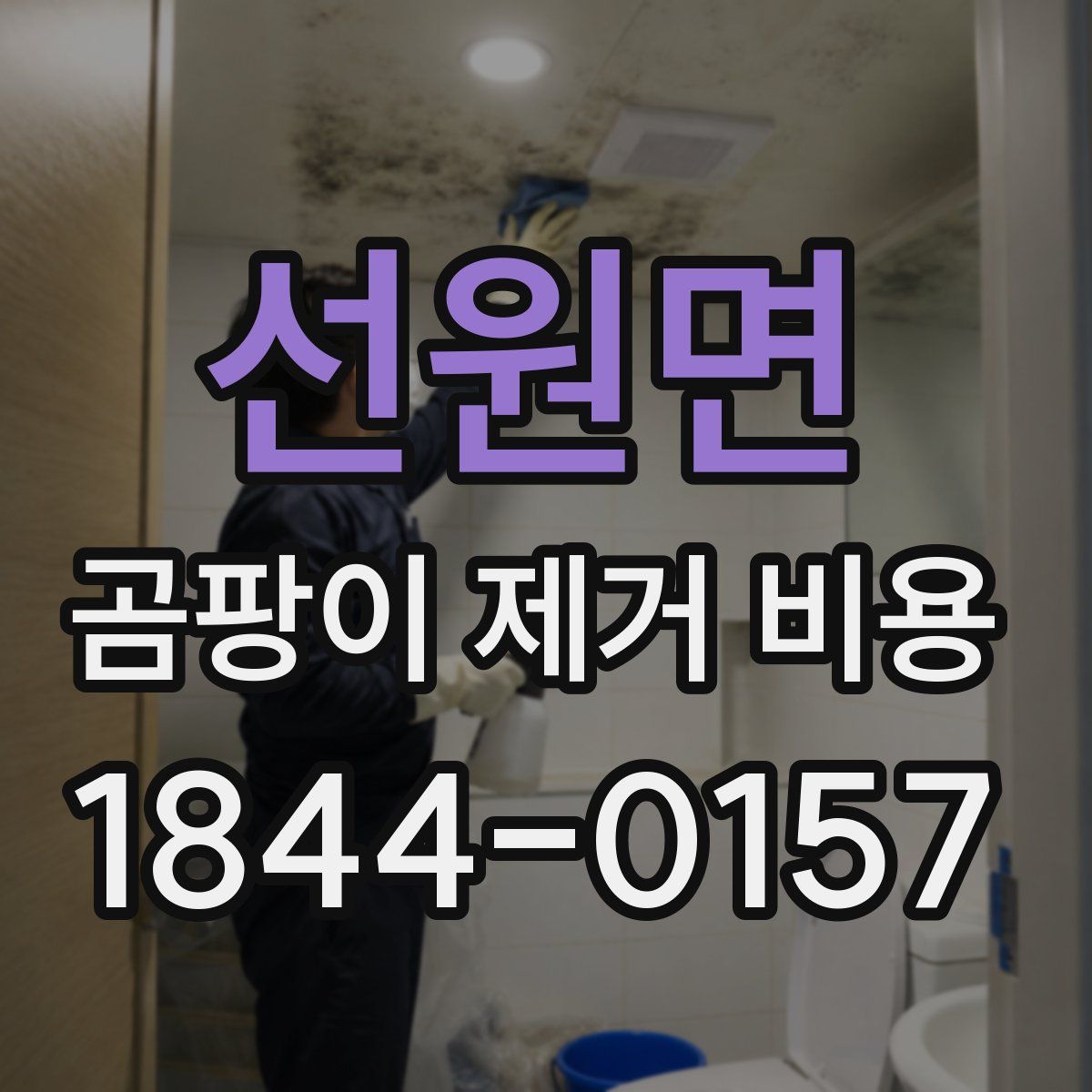 선원면 곰팡이 제거 비용