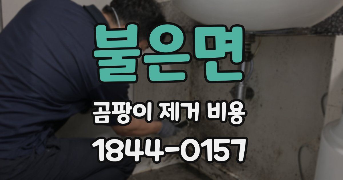 불은면 곰팡이 제거 비용