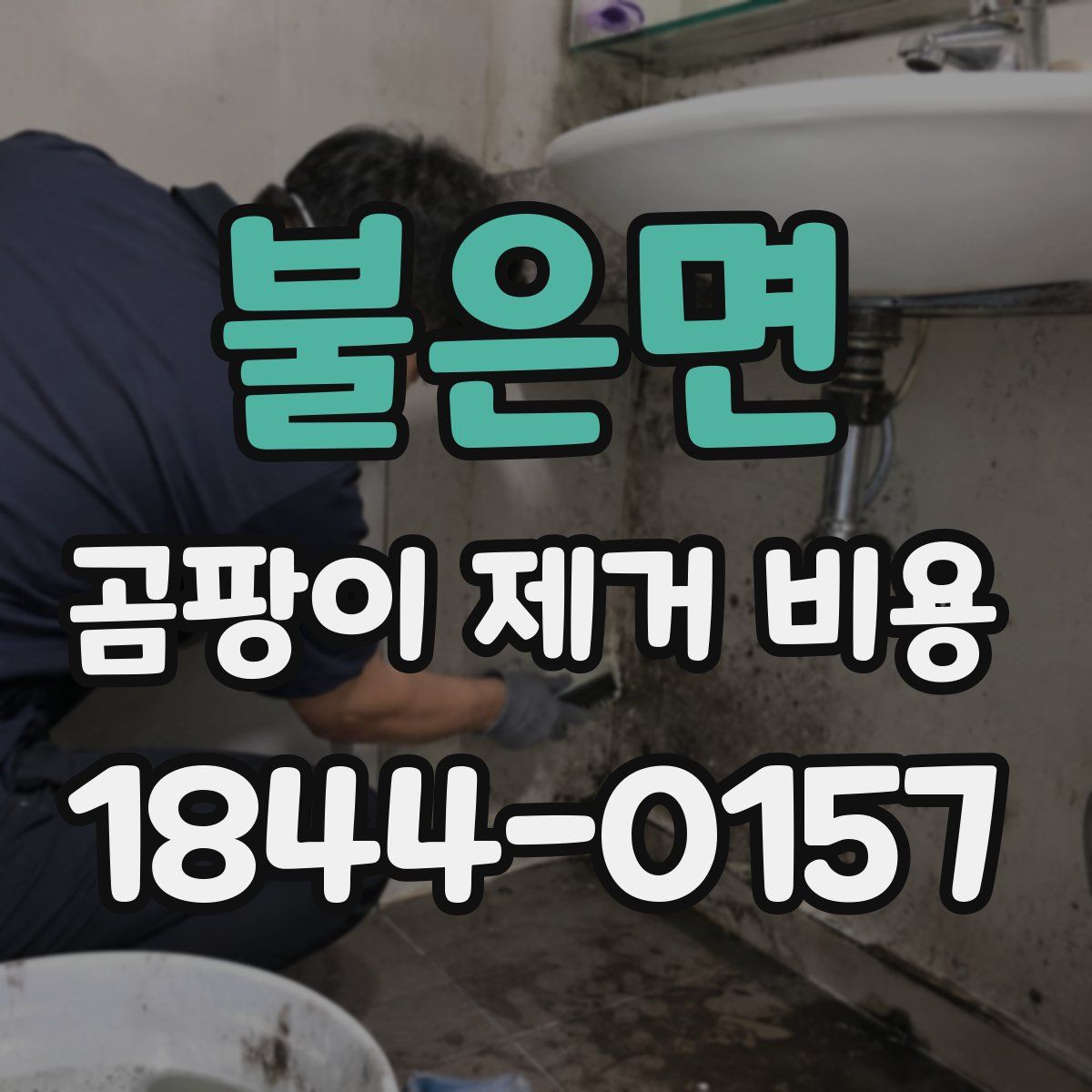 불은면 곰팡이 제거 비용