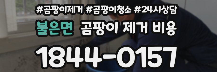 불은면 곰팡이 제거 비용