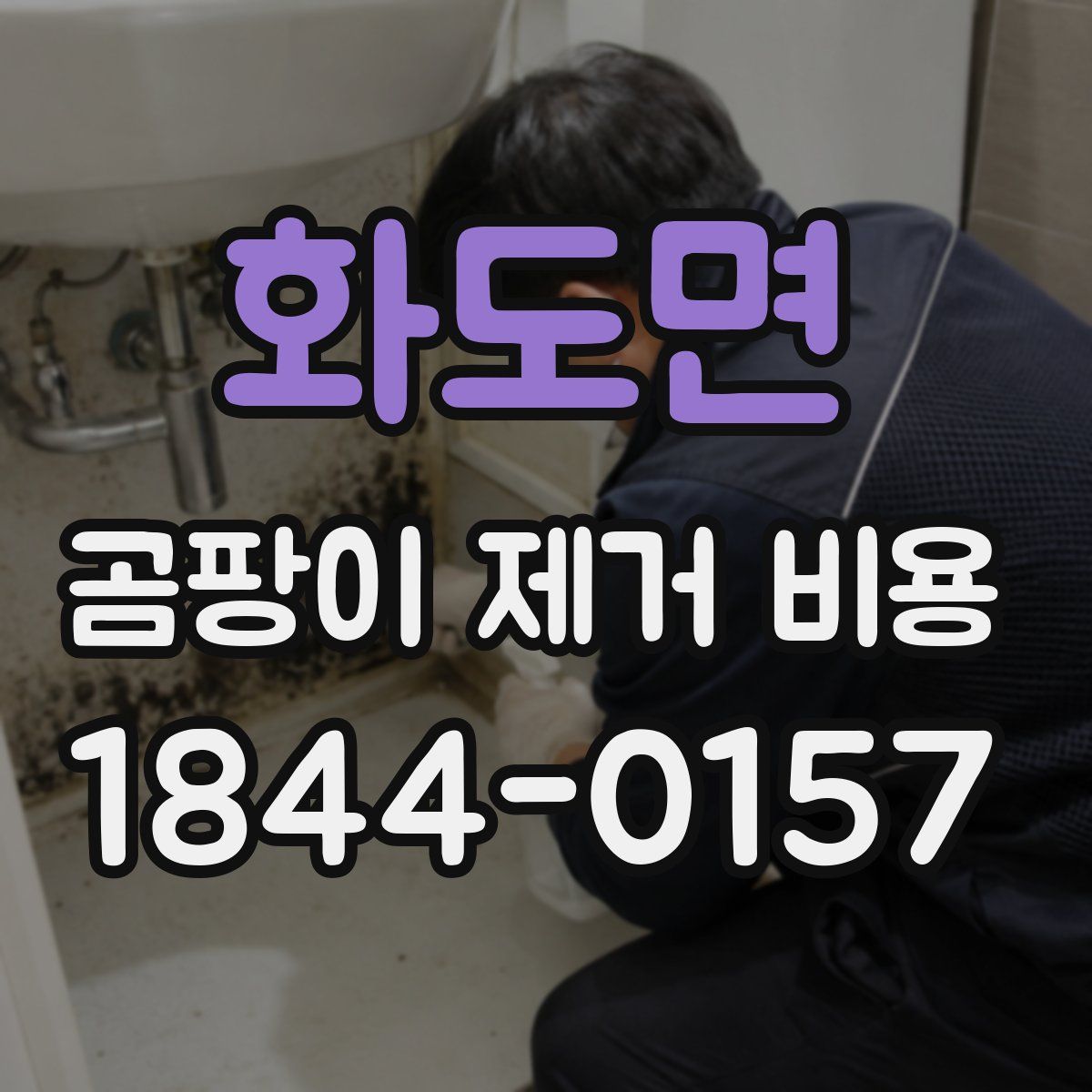 화도면 곰팡이 제거 비용