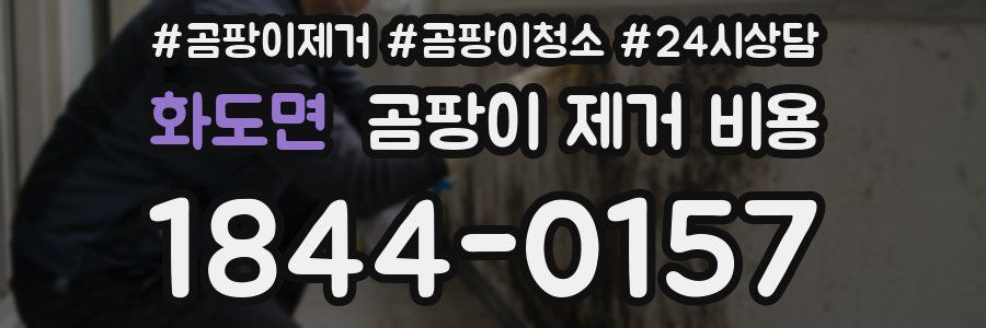 화도면 곰팡이 제거 비용