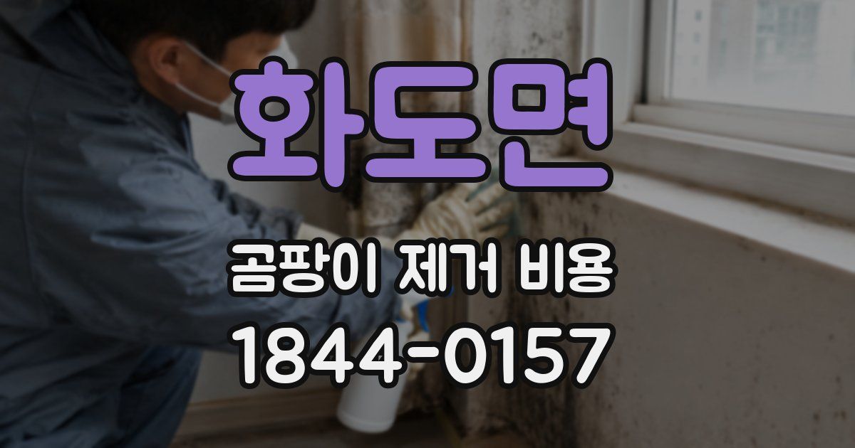 화도면 곰팡이 제거 비용