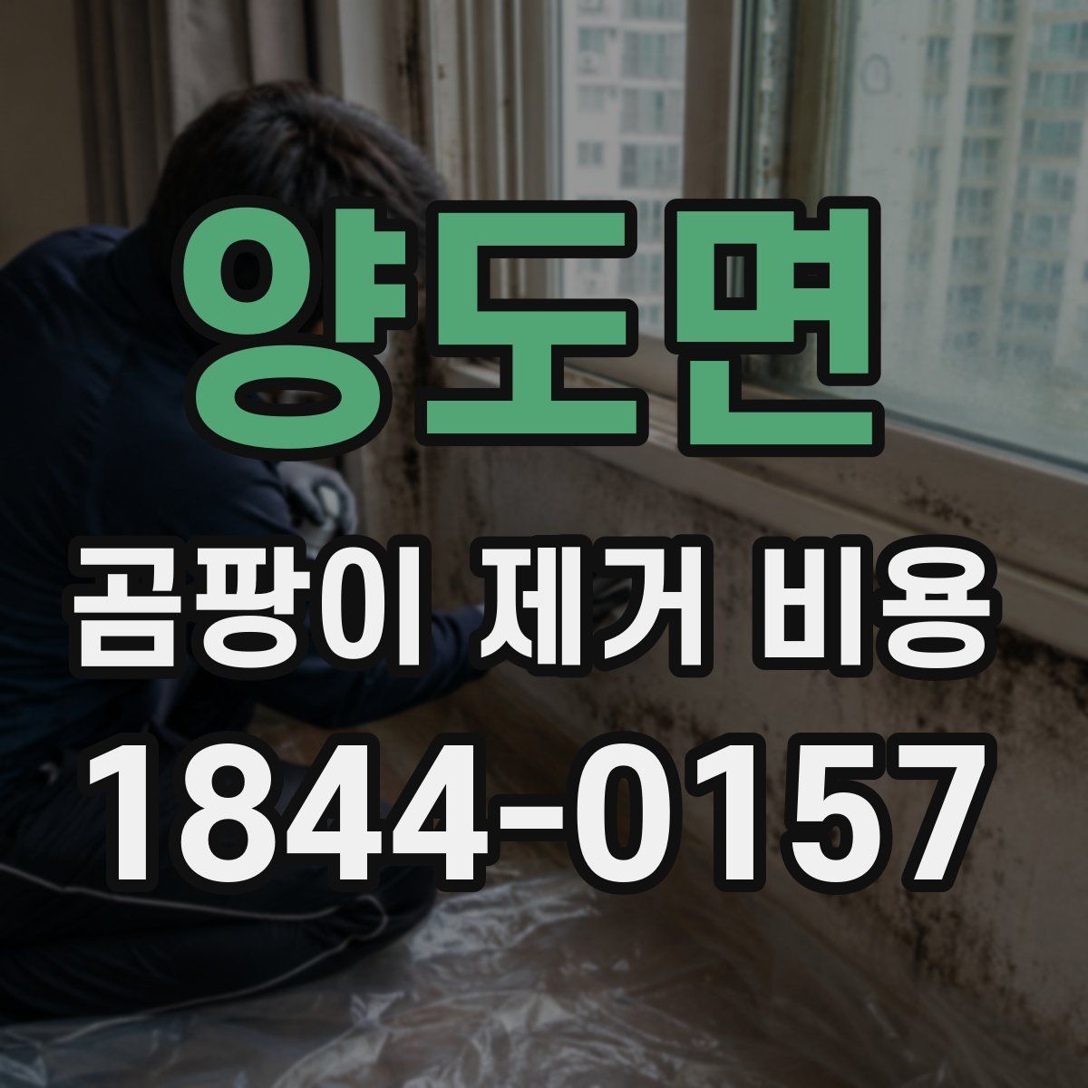 양도면 곰팡이 제거 비용