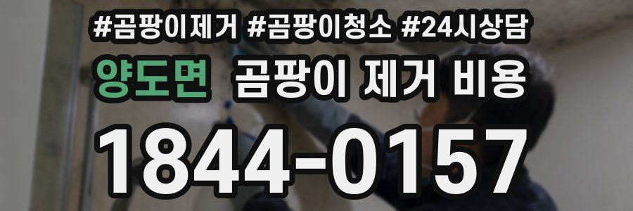 양도면 곰팡이 제거 비용