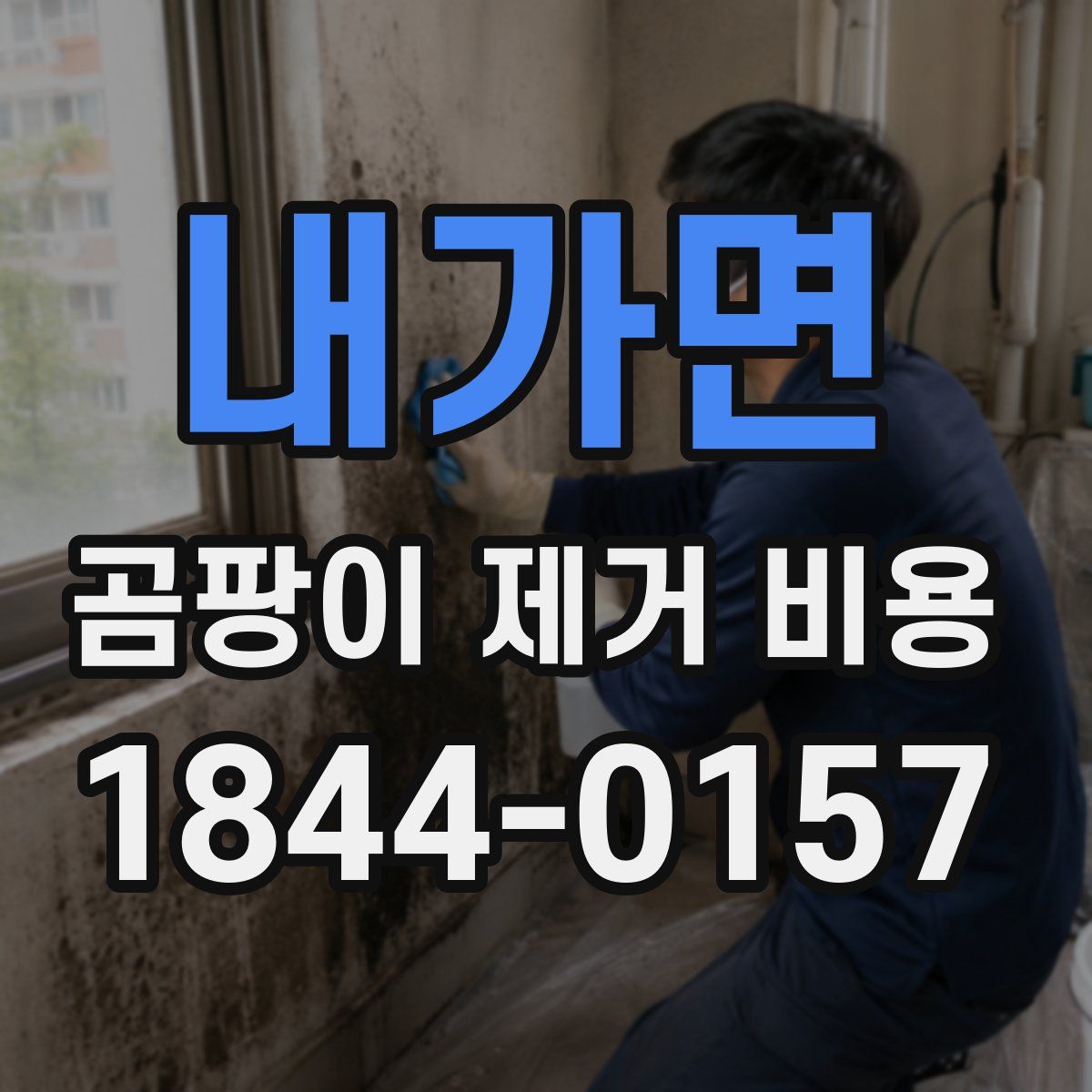 내가면 곰팡이 제거 비용