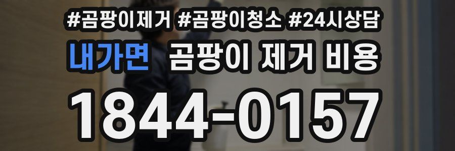 내가면 곰팡이 제거 비용