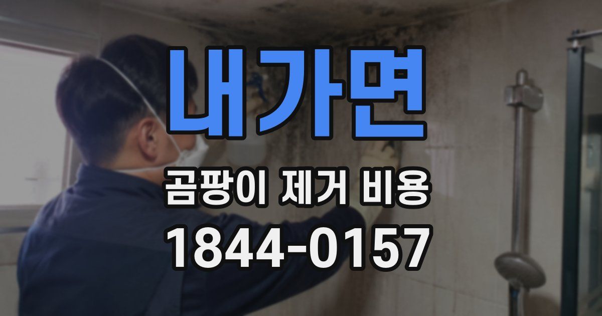 내가면 곰팡이 제거 비용